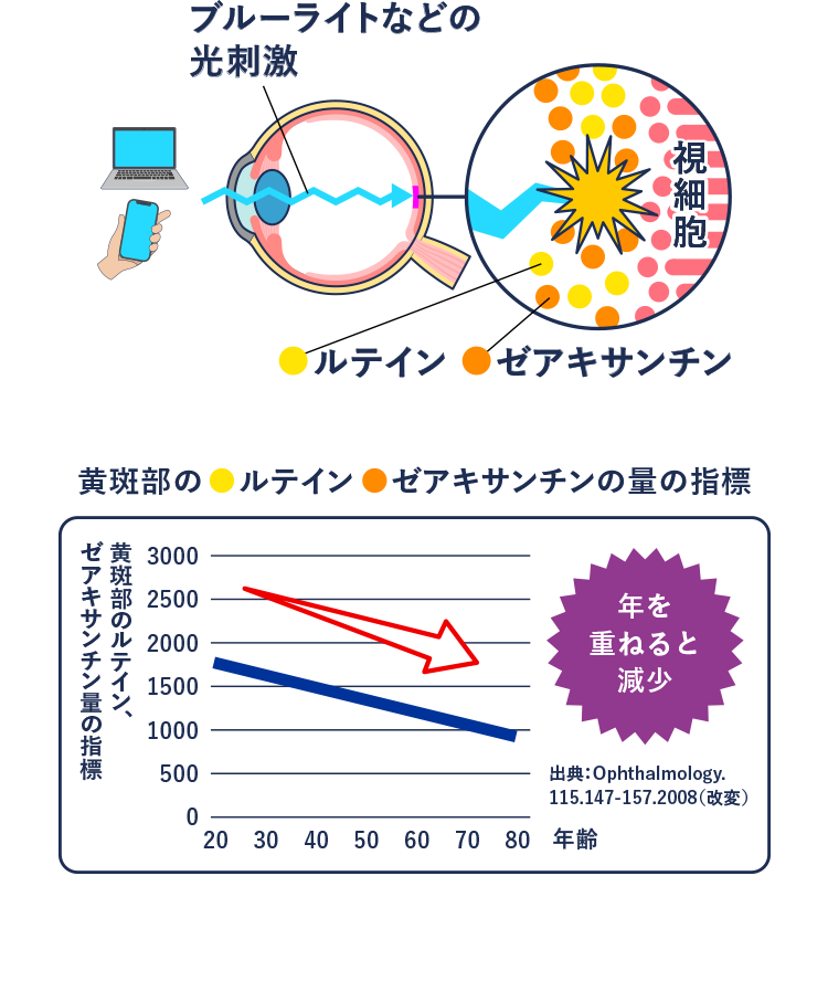 ブルーライトなどの光刺激 ルテイン ゼアキサンチン 黄斑部のルテイン、ゼアキサンチンの量の指標 年を重ねると現象 出典:Ophthalmology. 115.147-157.2008（改変）