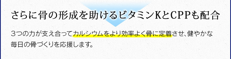 さらに骨の形成を助けるビタミンKとCPPも配合　３つの力が支え合ってカルシウムをより効率よく骨に定着させ、健やかな毎日の骨づくりを応援します。