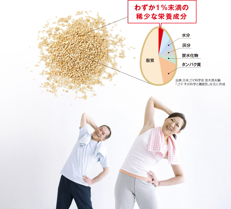 わずか1％未満の稀少な栄養成分　※出典:日本ゴマ科学会 並木満夫編『ゴマ その科学と機能性』を元に作成