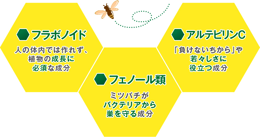 フラボノイド：人の体内では作れず、植物の成長に必須な成分　フェノール類：ミツバチがバクテリアから巣を守る成分　アルテピリンC：「負けないちから」や若々しさに役立つ成分