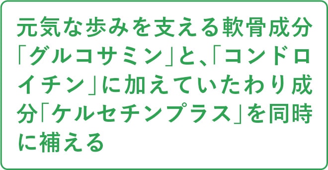 元気な歩みを支える軟骨成分「グルコサミン」と、「コンドロイチン」に加えていたわり成分「ケルセチンプラス」を同時に補える