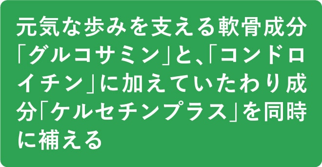 元気な歩みを支える軟骨成分「グルコサミン」と、「コンドロイチン」に加えていたわり成分「ケルセチンプラス」を同時に補える