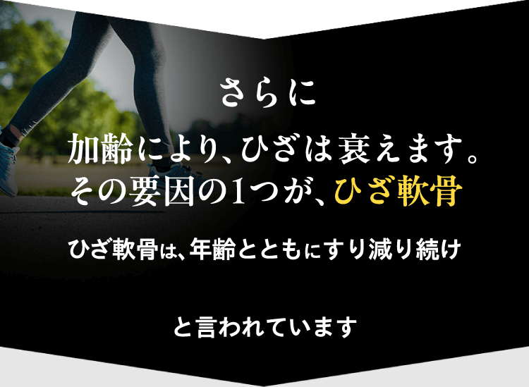 さらに加齢により、ひざは衰えます。その要因の1つが、ひざ軟骨 ひざ軟骨は、年齢とともにすり減り続け一度すり減ると元に戻らないと言われています