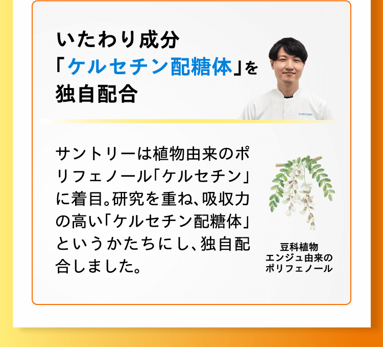 いたわり成分｢ケルセチン配糖体｣を独自配合 サントリーは植物由来のポリフェノール｢ケルセチン｣に着目。研究を重ね、吸収力の高い｢ケルセチン配糖体｣というかたちにし、独自配合しました。