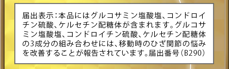 届出表示：本品にはグルコサミン塩酸塩、コンドロイチン硫酸、ケルセチン配糖体が含まれます。グルコサミン塩酸塩、コンドロイチン硫酸、ケルセチン配糖体の3成分の組み合わせには、移動時のひざ関節の悩みを改善することが報告されています。届出番号（B290）