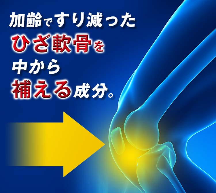 加齢ですり減ったひざ軟骨を中から補える成分。