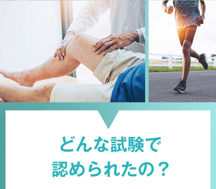 どんな試験で認められたの?
