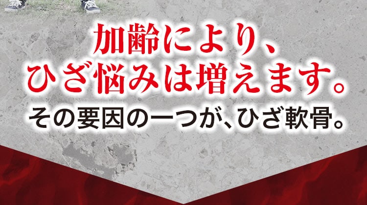 加齢により、ひざ悩みは増えます。その要因の一つが、ひざ軟骨。