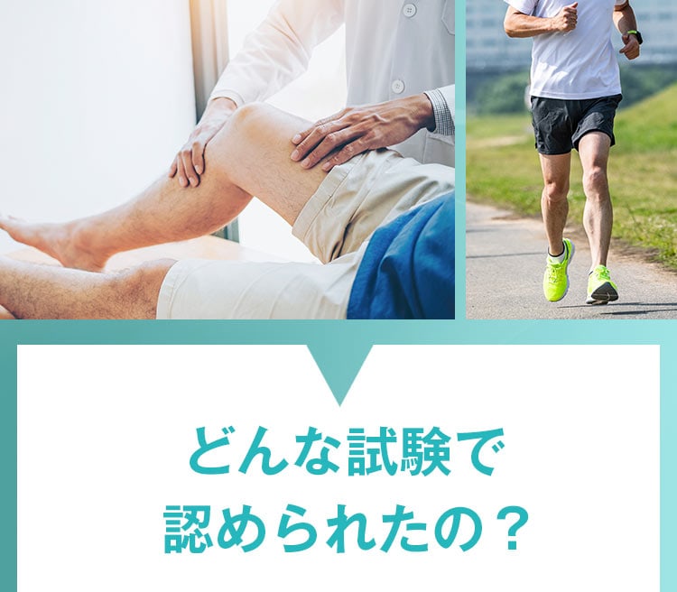 どんな試験で認められたの？