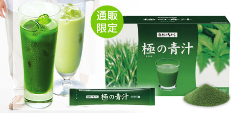 通販限定　極の青汁