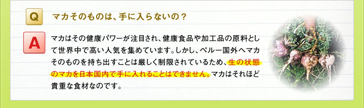 Ｑ：マカそのものは、手に入らないの？　Ａ：マカはその健康パワーが注目され、健康食品や加工品の原料として世界中で高い人気を集めています。しかし、ペルー国外へマカそのものを持ち出すことは厳しく制限されているため、生の状態のマカを日本国内で手に入れることはできません。マカはそれほど貴重な食材なのです。