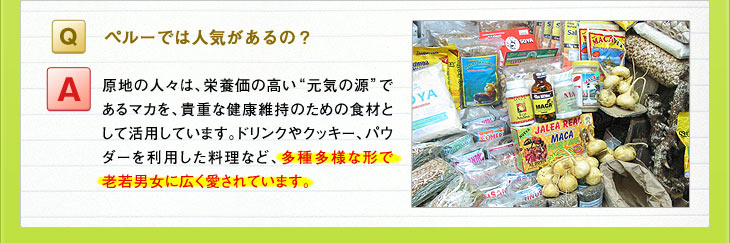 Ｑ：ペルーでは人気があるの？　Ａ：原地の人々は、栄養価の高い&ldquo;元気の源&rdquo;であるマカを、貴重な健康維持のための食材として活用しています。ドリンクやクッキー、パウダーを利用した料理など、多種多様な形で老若男女に広く愛されています。