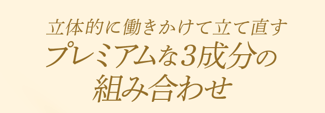 立体的に働きかけて立て直す
プレミアムな3成分の組み合わせ