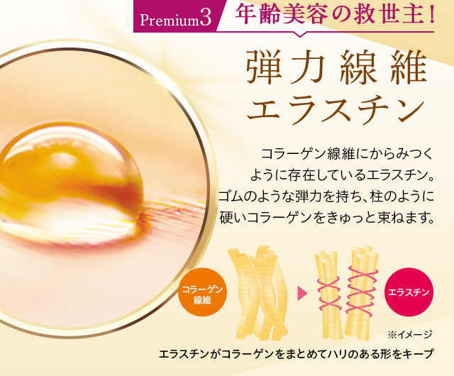 Premium3 年齢美容の救世主!
弾力線維エラスチン
コラーゲン線維にからみつくように存在しているエラスチン。ゴムのような弾力を持ち、柱のように硬いコラーゲンをきゅっと束ねます。
コラーゲン繊維 > エラスチン ※イメージ
エラスチンがコラーゲンをまとめてハリのある形をキープ