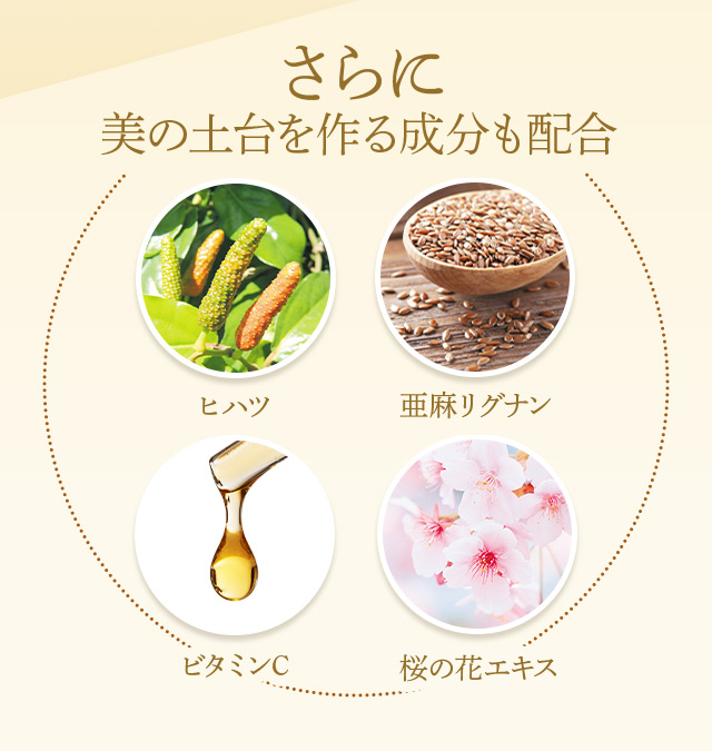 さらに美の土台を作る成分も配合
ヒハツ 亜麻リグナン ビタミンC 桜の花エキス
