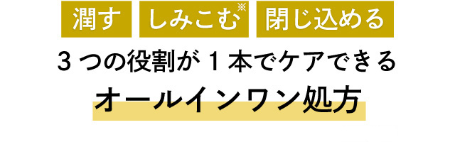 潤す しみこむ※ 閉じ込める 3つの役割が1本でケアできるオールインワン処方