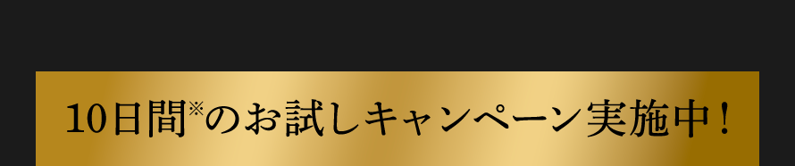 10日間のお試しキャンペーン実施中！