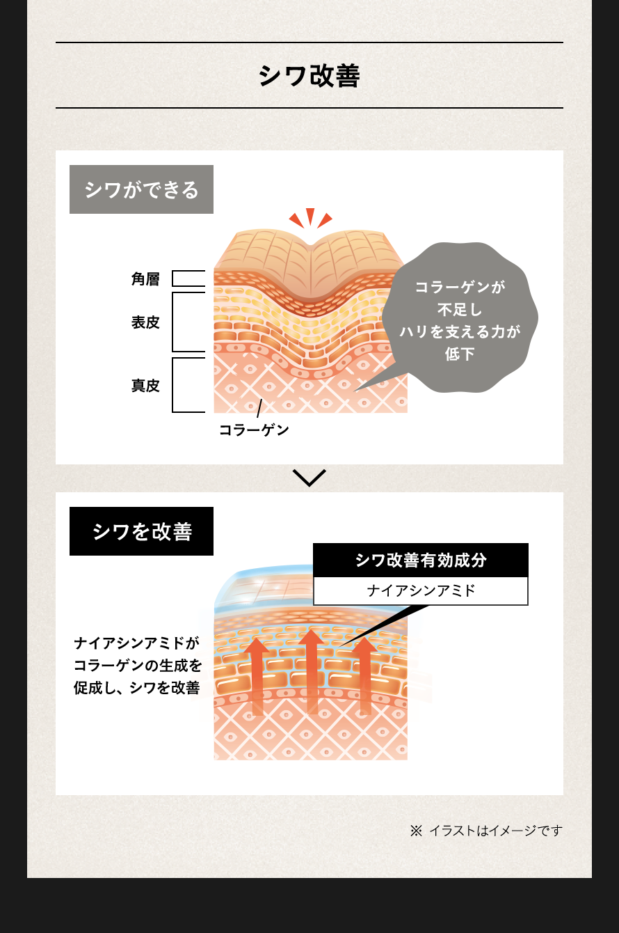 シワ改善 ナイアシンアミドがコラーゲンの生成を促成し、シワを改善