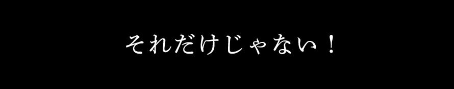 それだけじゃない！