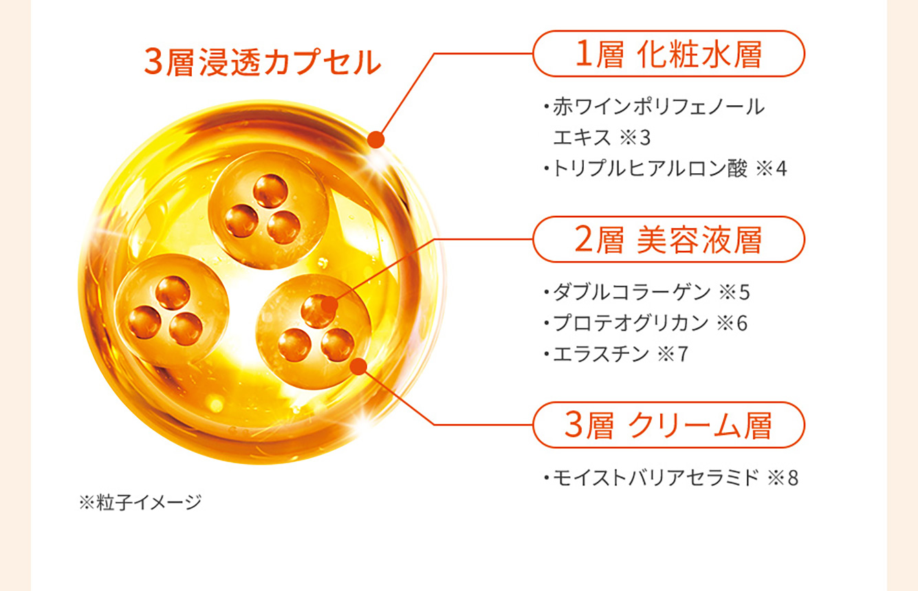 3層浸透カプセル