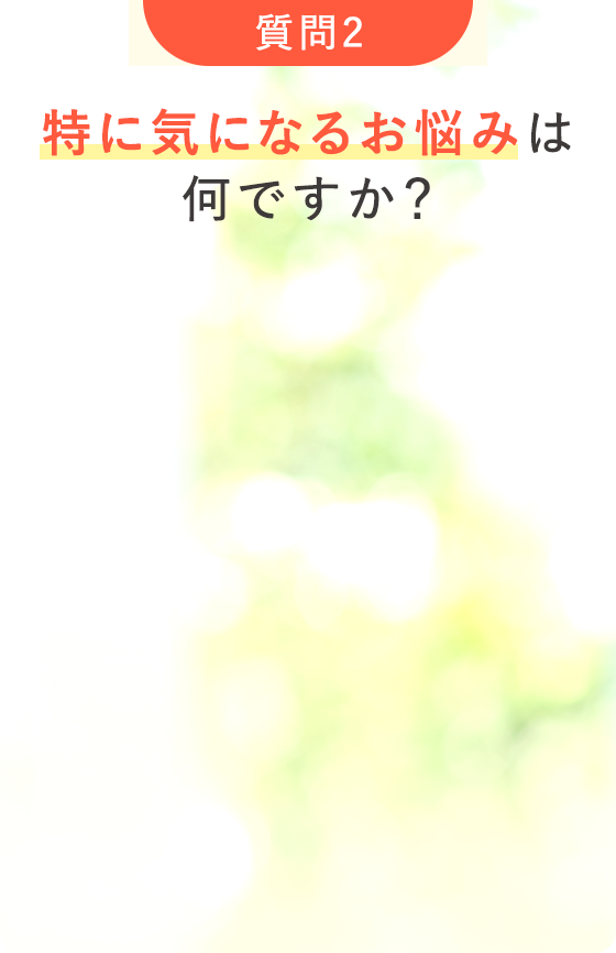 質問2 特に気になるお悩みは何ですか？