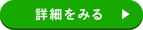 詳細をみる