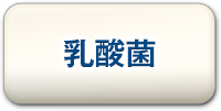 乳酸菌